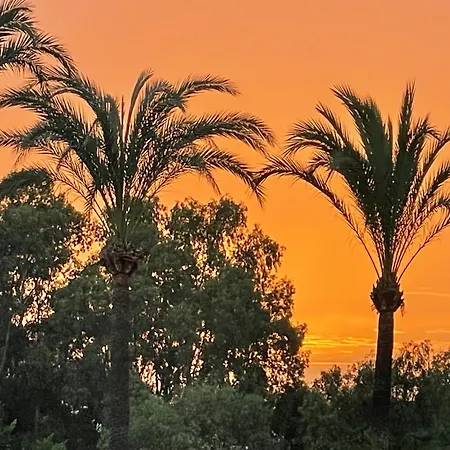 Pura Vida Вилла